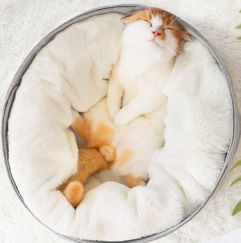 PAWVY ComfortMax Enclosed Pet Bed