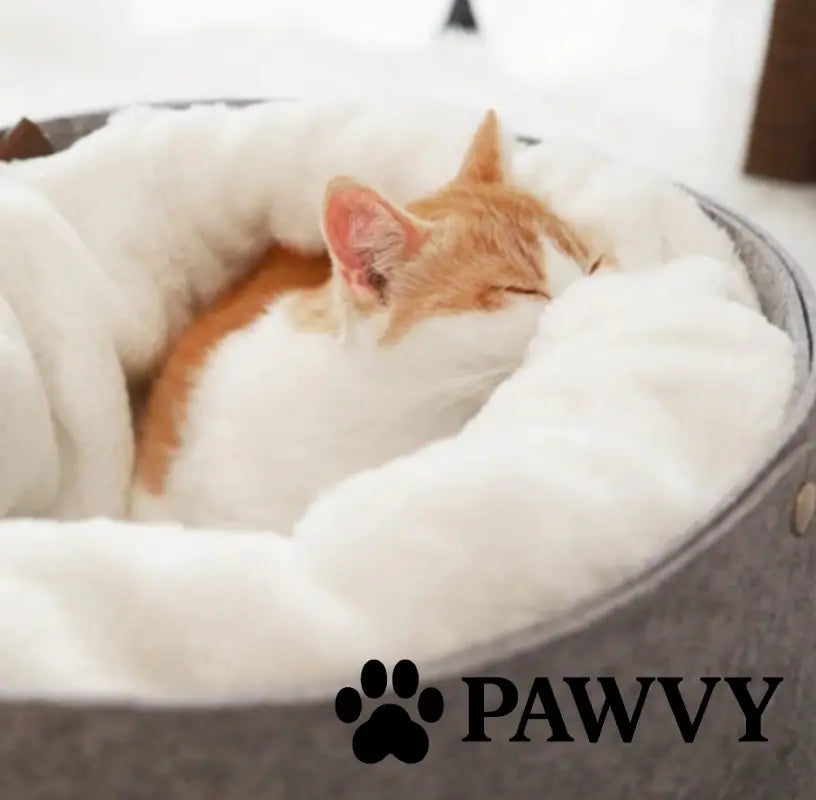 PAWVY ComfortMax Enclosed Pet Bed